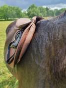 Selle wintec pro jump avec syst&egrave;me cair
