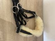 Collier de chasse