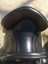 Selle venus Ludomar 
