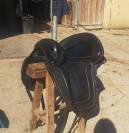 Selle venus Ludomar 