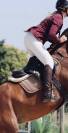 Selle CWD 2gs