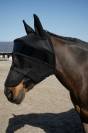 Masque anti-mouches Pro Series EK Solar Shield 99 - Pro Series