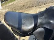 Selle Forestier 