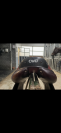Selle 2gs CWD 