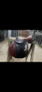 Selle 2gs CWD 