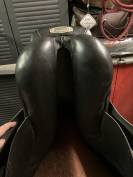 Selle stubben 