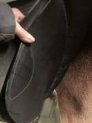 Selle stubben 