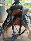 Selle western 