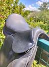 Selle Forestier Prem's noire 17'