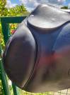 Selle Forestier Prem's noire 17'