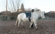 Selle Zaldi dressage 17,5