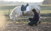 Selle Zaldi dressage 17,5