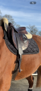 Selle cwd 2gs 
