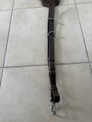 Collier de chasse Norton pro
