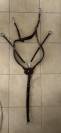 Collier de chasse Norton pro