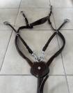 Collier de chasse Norton pro