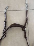 Collier de chasse Norton pro