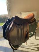 Boeckelo Forestier - 18