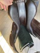 Boeckelo Forestier - 18