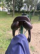 Selle antares signature