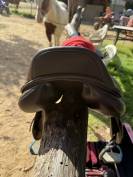 Selle mixte 17,5 