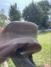 Selle Fouganza 