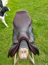 Selle cwd
