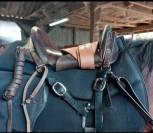 Selle type Mac lellan