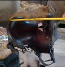 Selle type Mac lellan