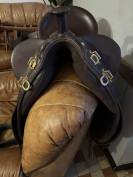 Selle australienne stock