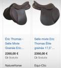 Selle Eric Thomas 17 pouces mixte 