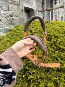 Licol taille cheval 