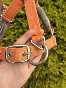 Licol taille cheval 