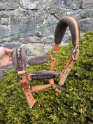 Licol taille cheval 