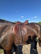 Selle cheval poney 