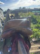 Selle cheval poney 