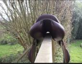 Selle Devoucoux Chiberta 17,5