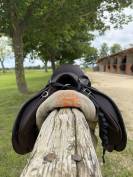 Selle Childeric 