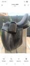 Selle de dressage 