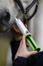 Seringue pour relaxation du cheval Prequalm - Unika