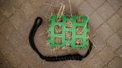 Panier antiglouton avec longe - HIPPOTONIC - Flexible et ludique