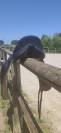 Selle de dressage Bellincourt 17,5