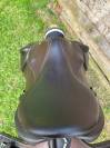 Selle Boekelo 17,5' 2022 Quartier 2A