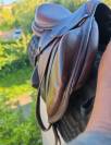 Selle antares monoquartier 