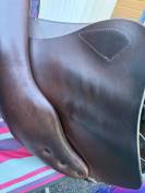 Selle d&rsquo;&eacute;quitation mixte 