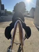 Selle de dressage Amerigo 