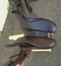 Selle Eric Thomas mod&egrave;le TREC/Randonn&eacute;e 17"5 