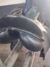 Selle 16,5 mixte 