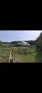 Marcheur 