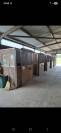 Boxes 